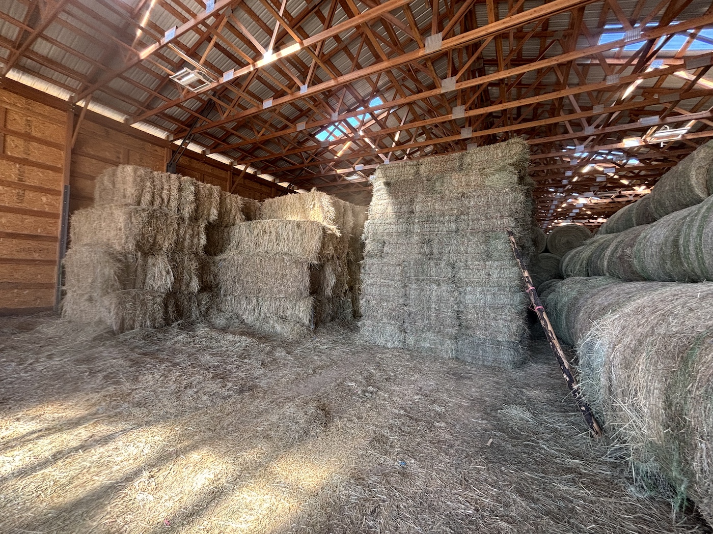 Hay - Image 4