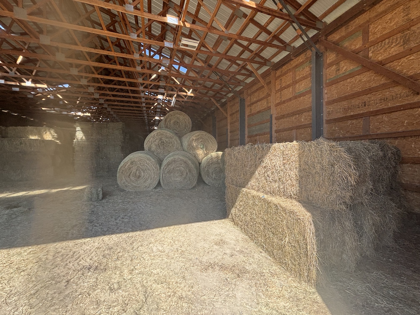 Hay - Image 3